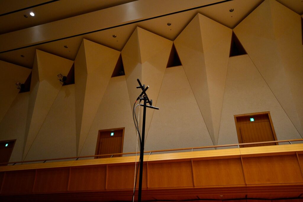 when-i-was-young-and-so-beautiful_13